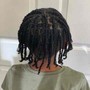 Men/Boys Box Braids/Two Strand Twist (shoulder length or shorter)