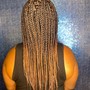 Small/Mini Island Twists