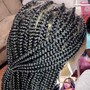 Kids Braids Hair Added At Ends