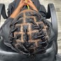 Starter locs