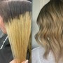 Root Touch Up