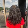 Small Passion Twists