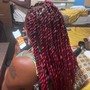 Senegalese/Island Twist