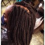 Box Braids