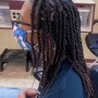 Loc Re-twist w/ 2 Strand Twisted or Braided