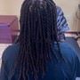 Full set of Starter Locs