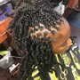 Havana Twists