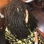 Natural Twists