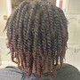 Medium Starter locs (2strand method)