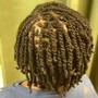 Transitioning Cut w/ service for starter Locs