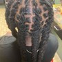 Transitioning Cut w/ service for starter Locs