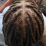 Individual Braids