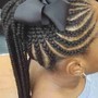 Havana Twists