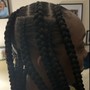 6 feed ins Braids