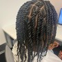 Two Strand Twist Style no locs