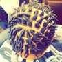 Comb Twist/ Starter Locs