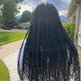 Passion/ Senegalese twists