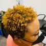 Comb Twist/Coil w/ hydration $150