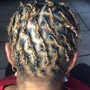 Starter Dreadlocks