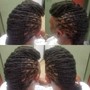 Top Locs (sides shaved) Maintenance