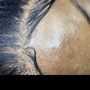 Eyebrow Wax, Eyebrow Tinting, Individual Lashes