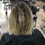 Root Touch Up