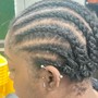 Two Strand Twist/Twist Out