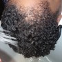 Root Touch Up