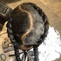 2 feed-in braids