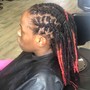 Starter locs two strand method