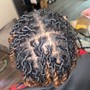 Medium Passion Twists