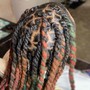 Adult Starter Locs