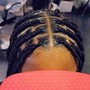 Kid's Cornrow Braids