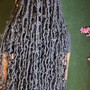 Short Faux Loc