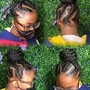 Feed braids {bun}