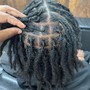 Starter Locs