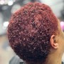 Transitioning Cut (Big Chop)