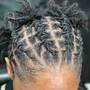 Crochet Braids (Hair Included)