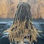 Crochet Braids (Hair Included)