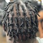 Coils / Comb Twist