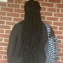 Crochet Braids (Hair Included)