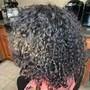 Root Touch Up