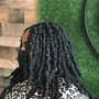 Regular Box Braids