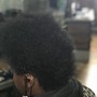 Root Touch Up