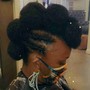 Natural Style - Braided - Twisted Protective Updo