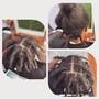 Loc Re-twist shaved sides