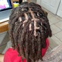 Loc Re-twist (top of head shaved sides)