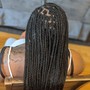 Large Senegalese Twist