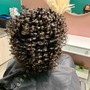 Braided/Twisted Updo