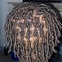 Starter Locs